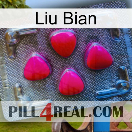 Liu Bian 13